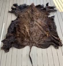 Buffalo Hide Rug | eBay