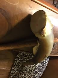 Vintage Indian Bison Horn Shaker 16 Inches Long | eBay