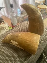 My friend has found these in a deceased relatives belongings ...