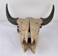 Sold at Auction: ANTIQUE MONTANA INDIAN PAINTED BUFFALO SKULL