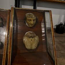 Last month I read @allisonrushbyauthor's Slashed Beauties ...