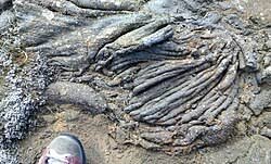 Krýsuvík (volcanic system) - Wikipedia