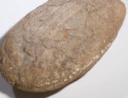 Sold at Auction: TECOXQUIN PALEOLITHIC PETROGLYPH CARVED ...