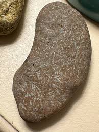 Interesting patterns, found these near coastline, what are ...