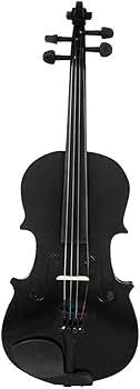 Amazon.com - TSTS 4/4 Full Size Black Acoustic Violin Fiddle with Case & Bow for Violin Beginner Stringed Instruments Adults Violins