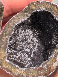 Whole Las Choyas/Coconut Geode for Cracking--Choose your ...