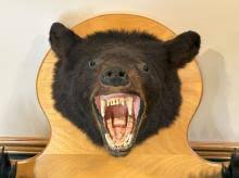 Sold at Auction: VINTAGE BLACK BEAR MOUNT