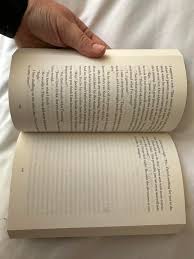 What is the meaning of the blank page in The Perfect Son by Freida McFadden?