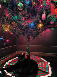 There's already a present under our tree.