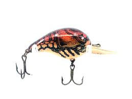 Bomber Fat A 5F, G-Finish XC4 Dark Brown Craw Color – My ...