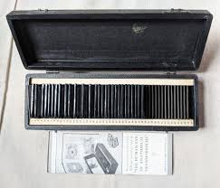 Human Eye Anatomical Transparencies Glass Slides 1940s ...