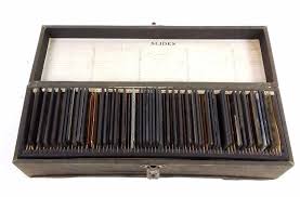 Sold at Auction: (43) Antique Magic Lantern Glass Slide Photos