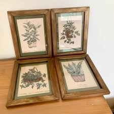 Set of FOUR Vintage Framed Dandeleau Prints '75 '76 - Vintage Dandeleau San Francisco - Vintage Plant Photographs - Vintage Wall Art - Etsy