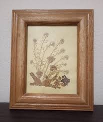Art, Painting With Dried Natural Floral Compositions With Beautiful Vintage Details From the 60s, Framed in a Wooden Frame - Etsy Australia