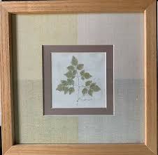 2 Marguerite Gonot Wood Framed Leaves Pictures 10" x 10 ...
