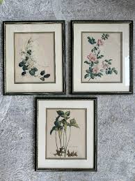Vintage Botanical Prints, Artist Kathleen Cassel, Framed and ...