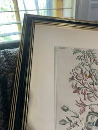 VTG Robert Furber 12 Months of Flowers JUNE 23 "X 18" Framed Floral Art Print | eBay
