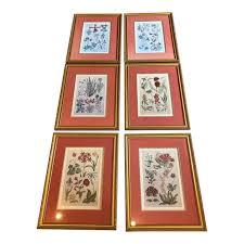 Set of 6 Floral Study Prints | Chairish