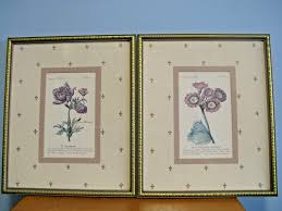 2 FLOWERS IN MARCH, APRIL ANOMONE AURICULA MATTED FRAMED ...