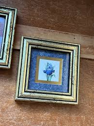 Lot of Small Pretty Petal Collectibles IRIS Daylily Flower ...