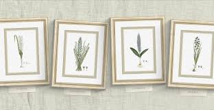 Botanicals & Birds: Set of 10 Framed Antique Botanical and ...