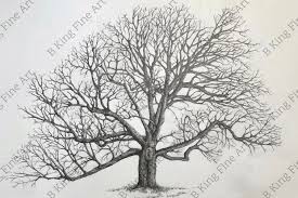Oak Tree – B King Fine Art