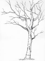 Drawing different types of trees - Share Your Art - The ...