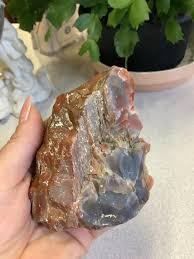 Petrified Wood Vermilion County Illinois Glacial River - Etsy