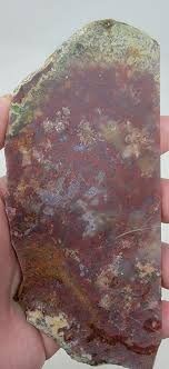 Old Stock Carey Plume Agate Slab! Lapidary Stone Slab!