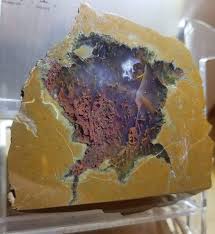 GEM: Polished Red Moss Priday Slab From Plume Bed Richardson Ranch Oregon | eBay