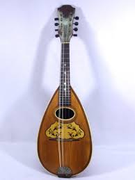 VINTAGE EARLY 1900'S BOWL BACK MANDOLIN w/CASE EXCELLENT ...