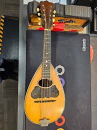 Used Washburn BOWLBACK MANDOLIN Vintage Mandolin