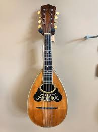 USED Washburn Bowl Back Natural 1905-1920's Acoustic ...