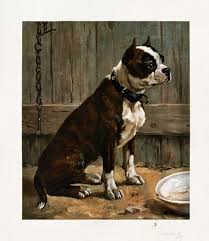 Uncle Toby (1861–1897), vintage dog | Free Photo Illustration - rawpixel