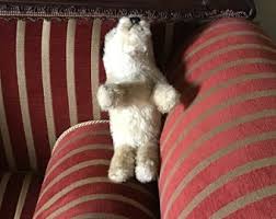 Vintage 1930s Original Merrythought Mohair Terrier Dog. - Etsy