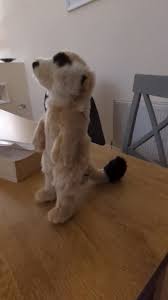 I got this adorable meerkat plush in a zoo gift shop (Fota ...
