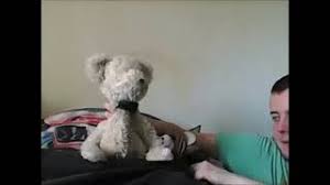 Georger and Arthur Series 5 Episode 25 - YouTube