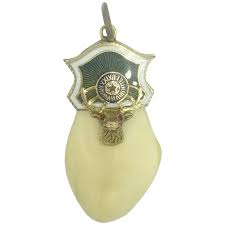 Enamel Elks Tooth 10K Gold Ruby Roman Numeral Elks Head Star ...