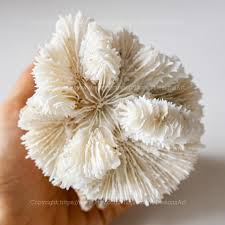 Buy Brain Coral Decorative Aquarium Coral Natural Real Coral Sea Coral for Home Decor Coral Decorate Desk Natural Seashell Ocean Coral Online in India - Etsy