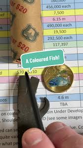 Discovering the Coloured Murray Cod | TikTok