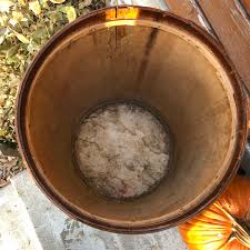 Antique 1900's 50 LBS Whole Celery Seed Garden & Mercantile Store Bentwood Barrel Bin With Lid - Vintage Bovis Coffee Co. Sioux City Iowa - Etsy