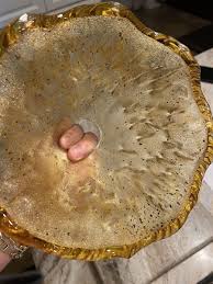 Vintage MURANO Style Blown Art Glass Pendant Light Shade ...