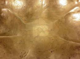 GEORG MENDELSSOHN Deutscher Werkbund Germany Arts & Crafts ...