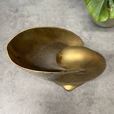 Brass Nautilus Shell Planter / Vase - Etsy