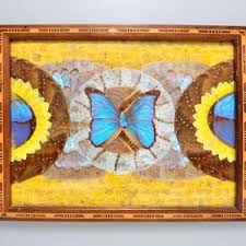 Antique Brazilian Blue Morpho and All-wings Butterfly Serving Tray - Etsy