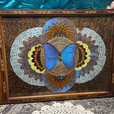 Vintage Butterfly Wing Art Wood Inlaid Tray - Blue Butterfly- Showing It's Age - Etsy