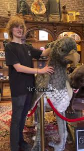 Discover the Magic of Buckbeak Plush | Trending Harry Potter Magical Creature | TikTok