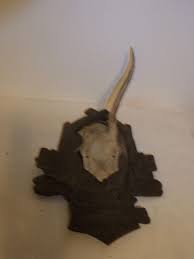 Vintage German Wood Carved Black Forest Base Deer Antler ...