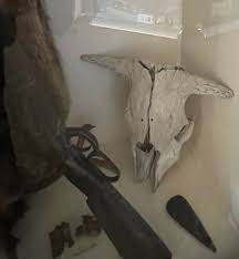 Liver Eatin' Johnston — Carbon County Historical Society ...