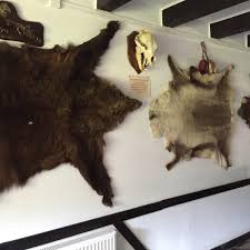 CABANA HARTAGU - Lodge Reviews (Siriu, Romania)